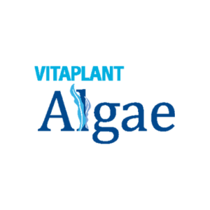 algae-bann